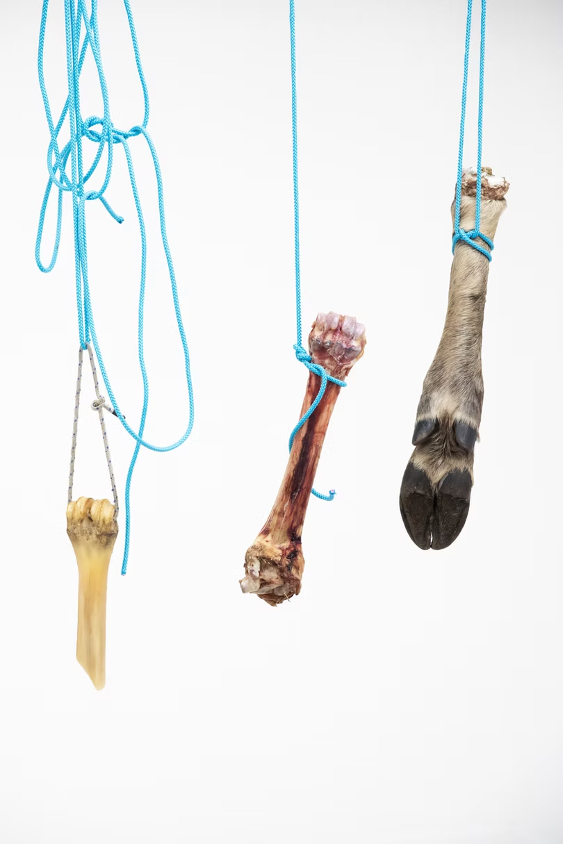 Weight of Inheritance, 2022, a digital photograph by Danya Danger 